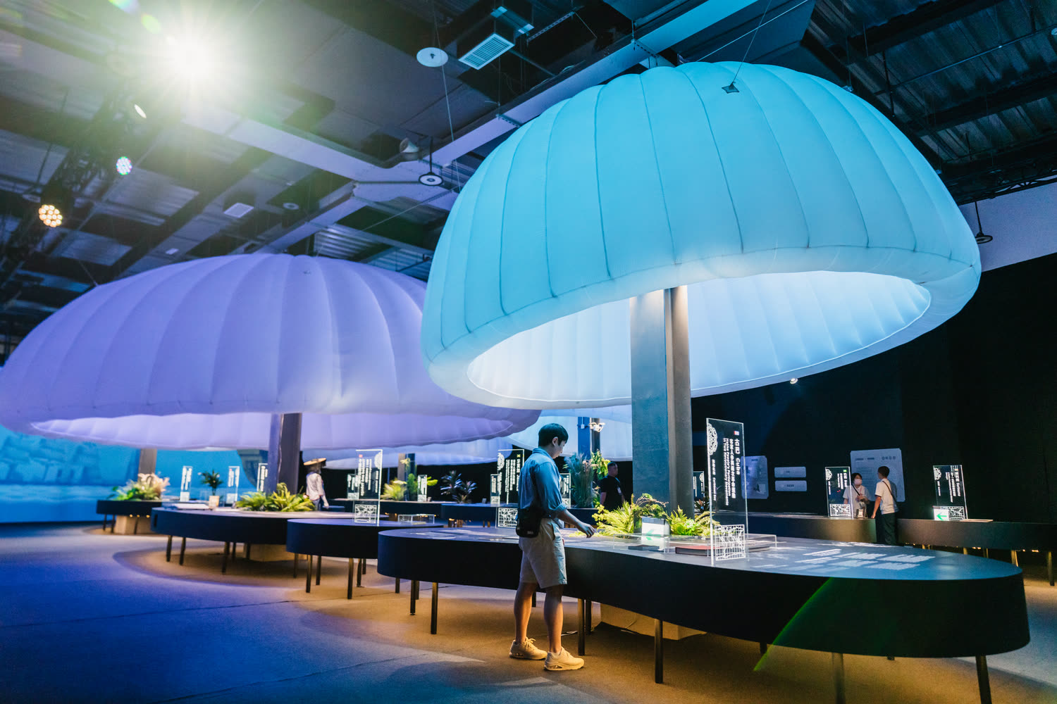 Lit fabric canopies hanging over circular display tables, visitors moving between them.