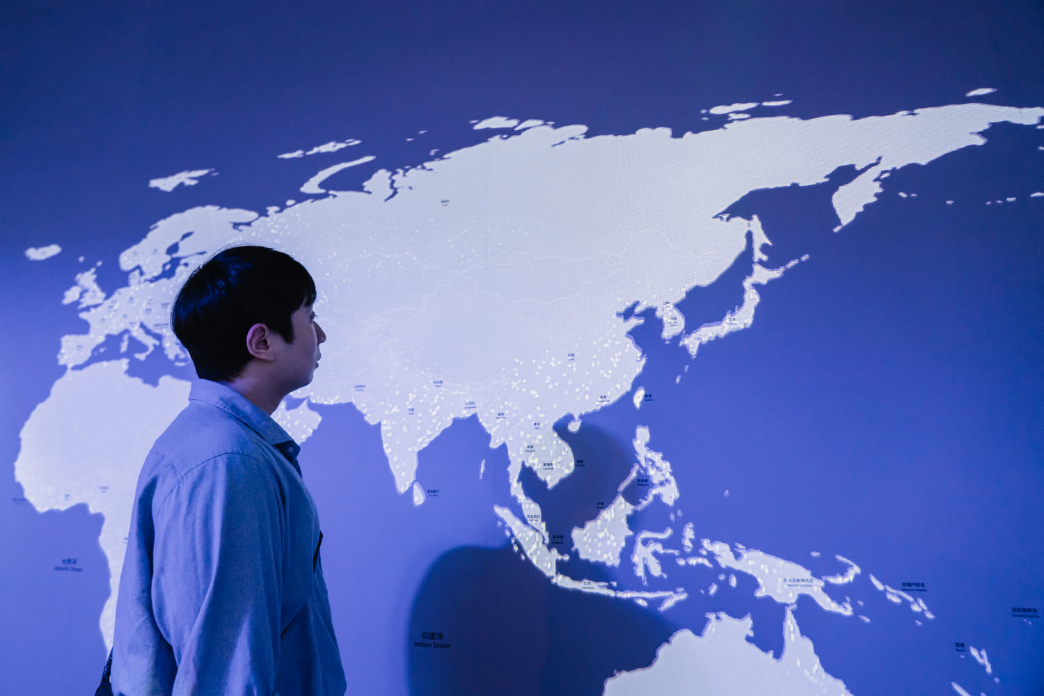 A visitor in front of a wall-sized world map, migration routes drawn in light across it.