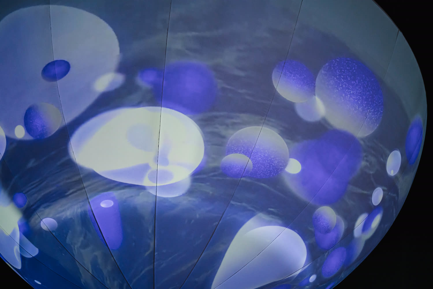 Blue and white forms drifting over the sphere like seed heads under water.