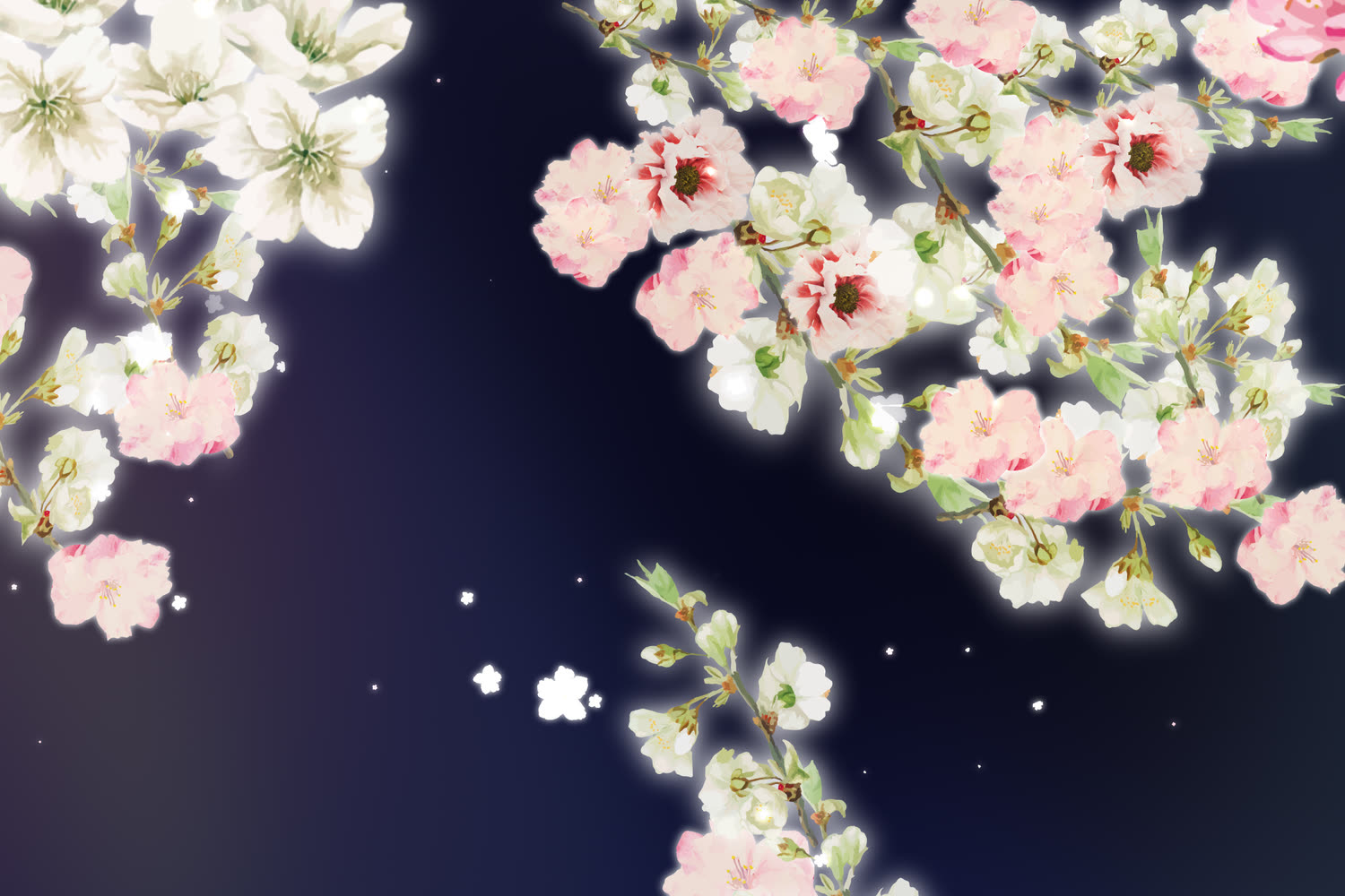 Blossom drawn flat on the source strip, evenly spread against a dark blue field.