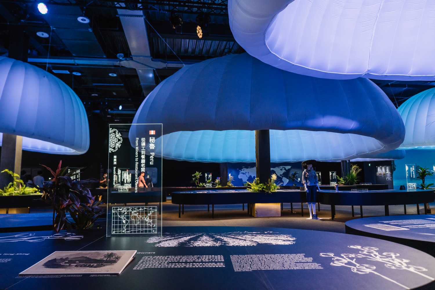 The canopy field seen down its length, each one glowing pale blue above a table.